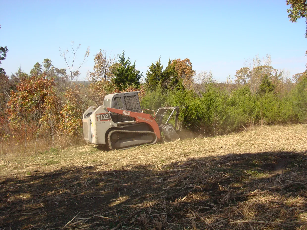 Tracked skid loader mulching cedars and brush along an overgrown pasture edge, brush clearing