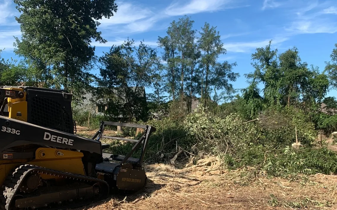 Tracked skid loader with a mulching head beside a freshly cleared edge of brush and small trees, fence line clearing