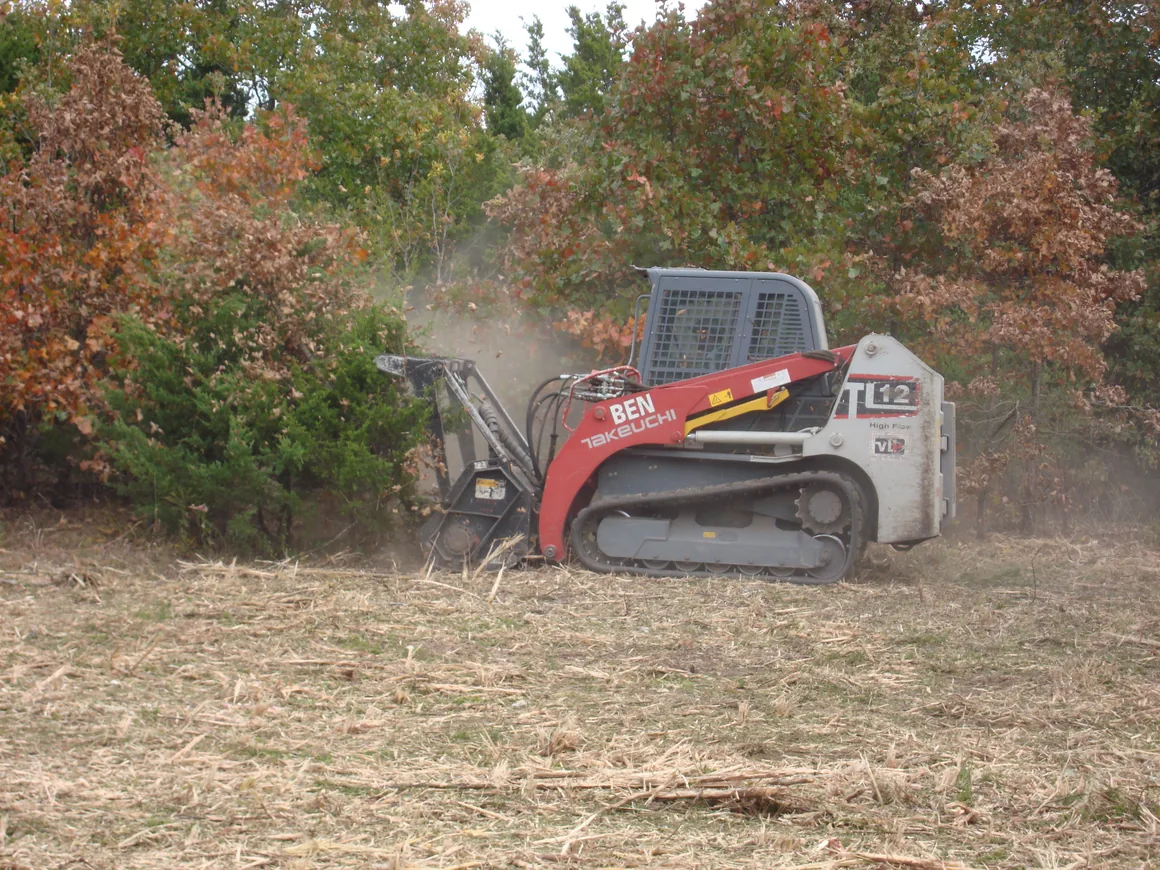 Skid loader grinding cedar and oak brush along a pasture edge, fence line clearing