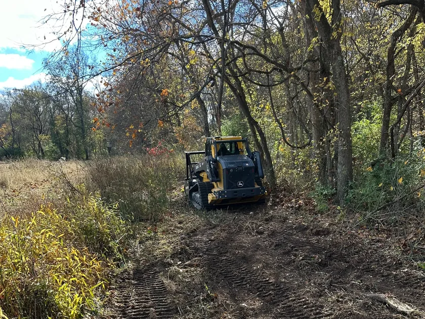 Tracked skid loader mulching brush at the end of a cleared lane along a tree line, fence line clearing