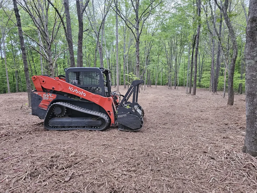Tracked skid loader with a mulching head in open hardwood timber with fresh mulch on the ground, forestry mulching