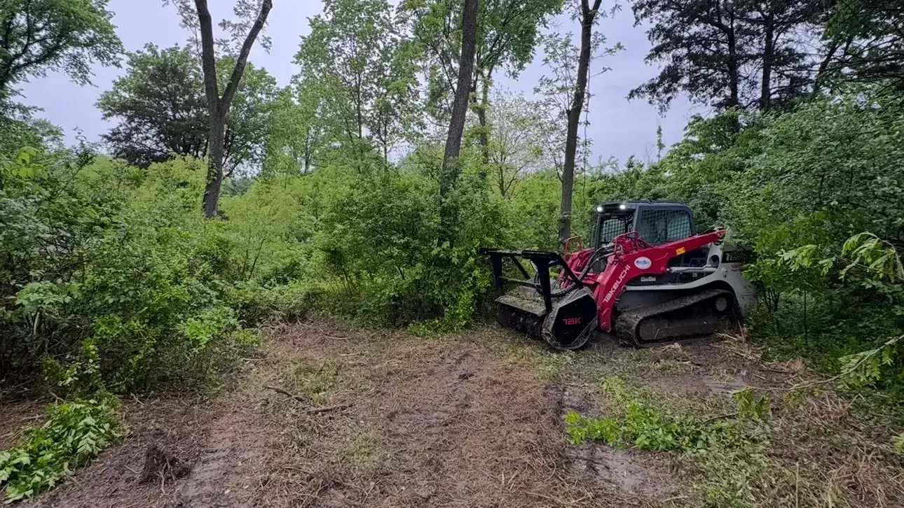 Tracked skid loader with a forestry mulching head at the end of a freshly cleared path in green woods, land clearing