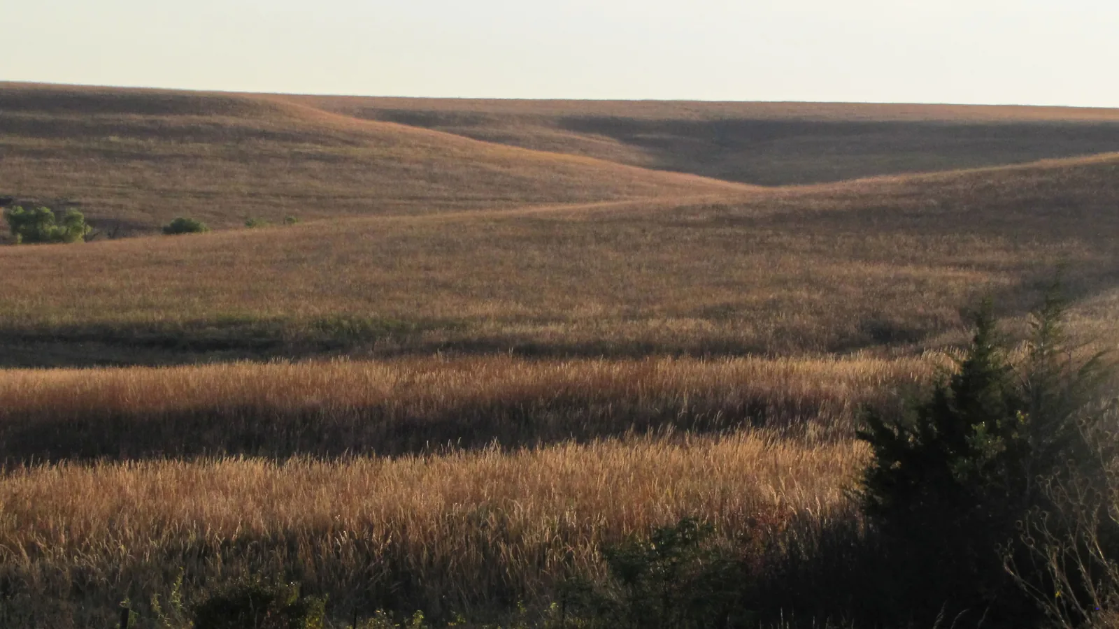 Land clearing in Garnett, KS