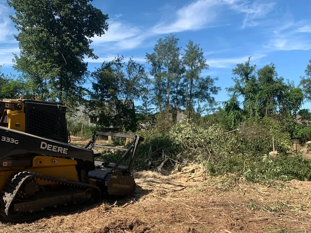 Tracked skid loader with a mulching head beside freshly cleared brush and small trees, lot clearing